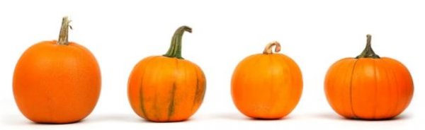 Annorlunda Halloween i år