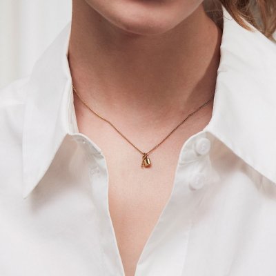 Skicka present halsband
